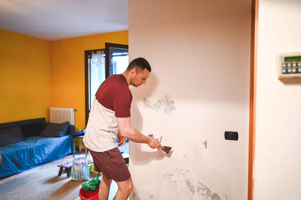 Hayti, MO Mold Remediation Company